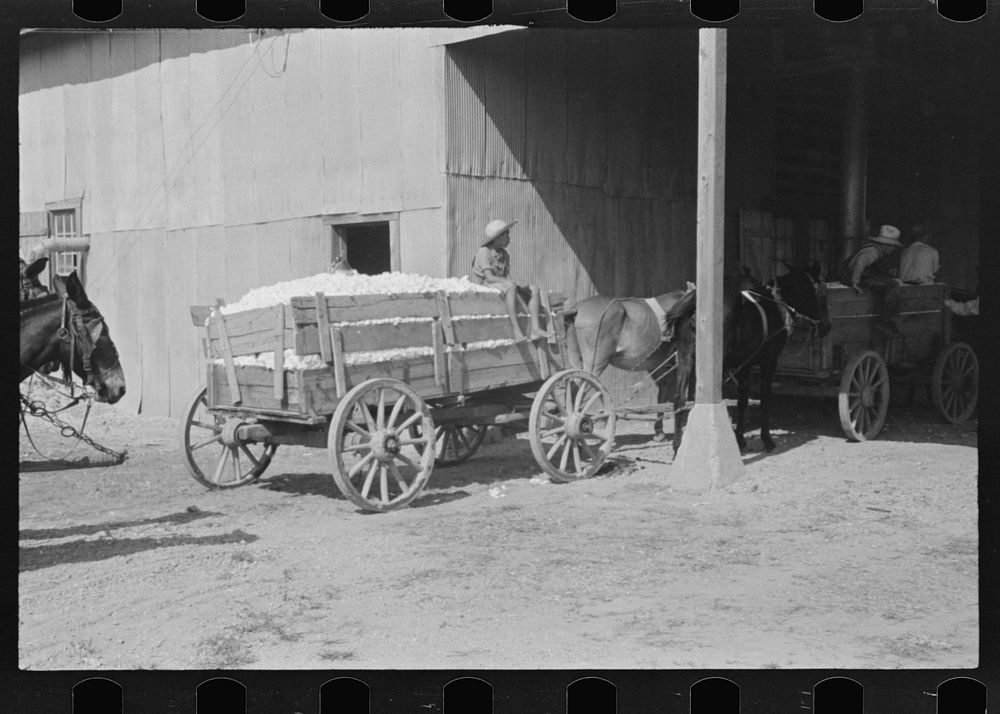 [Untitled photo, possibly related to: At the cotton gin. Cotton gin and wagons. Hale County, Alabama]. Sourced from the…