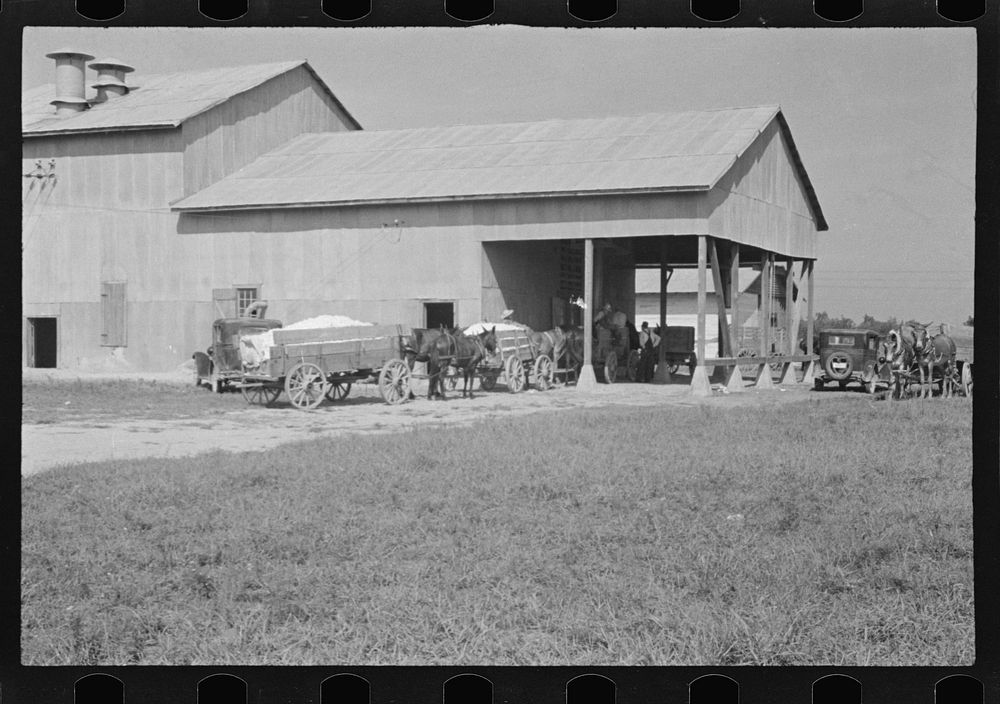 [Untitled photo, possibly related to: At the cotton gin. Cotton gin and wagons. Hale County, Alabama]. Sourced from the…
