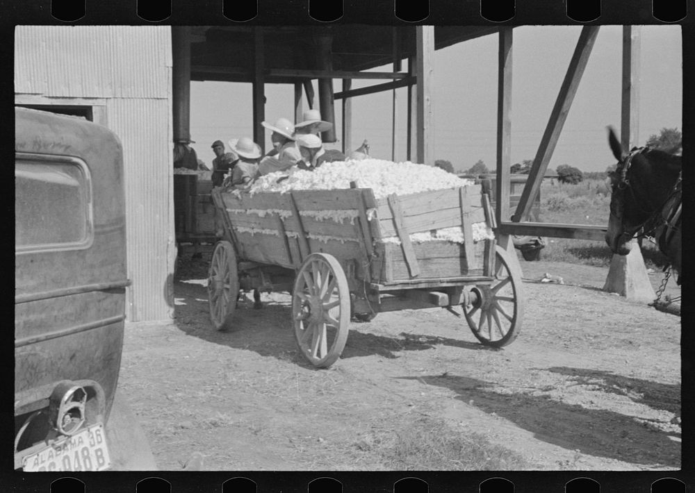 [Untitled photo, possibly related to: At the cotton gin. Cotton gin and wagons. Hale County, Alabama]. Sourced from the…