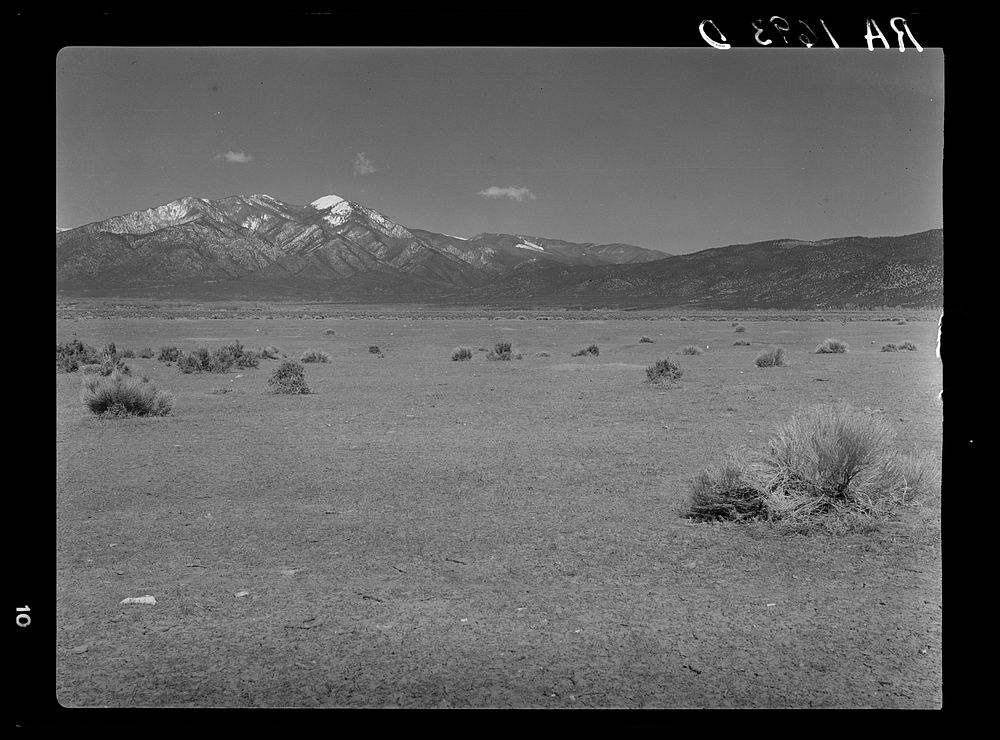 Barren overgrazed land on the Taos land use project, New Mexico. This land will become good sheep-grazing acreage when the…