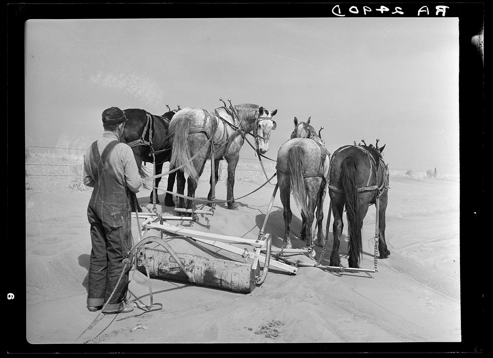 Removing drifts of soil which block the highways near Guymon, Oklahoma. Sourced from the Library of Congress.