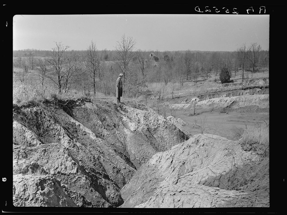 Erosion gully on Coalins Forest and Game Reservation between Tennessee and Cumberland Rivers in Kentucky. Sourced from the…