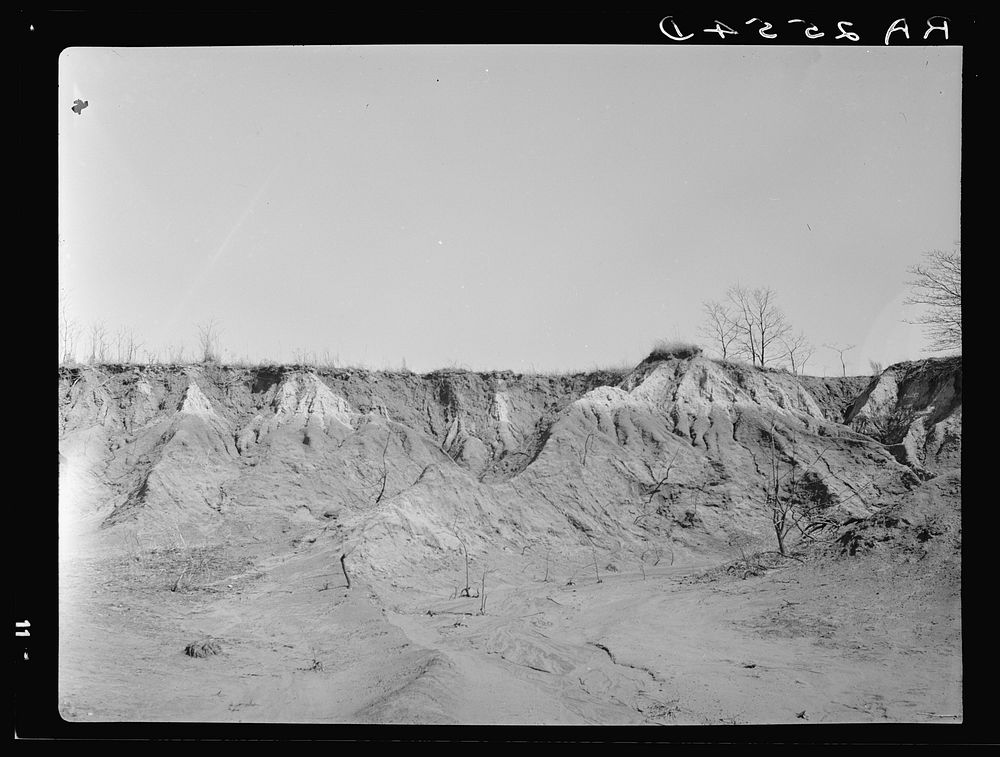 Erosion gully on Coalins Forest and Game Reservation between Tennessee and Cumberland Rivers in Kentucky. Sourced from the…