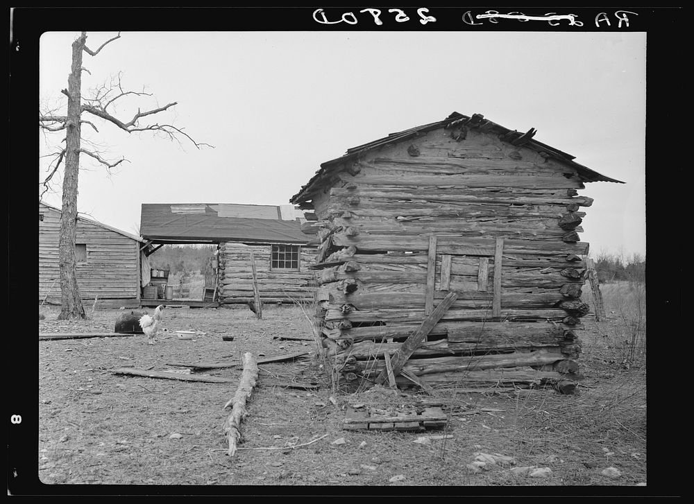 Smokehouse of cedar at Wilson Cedar Forest project. Near Lebanon, Tennessee. Sourced from the Library of Congress.