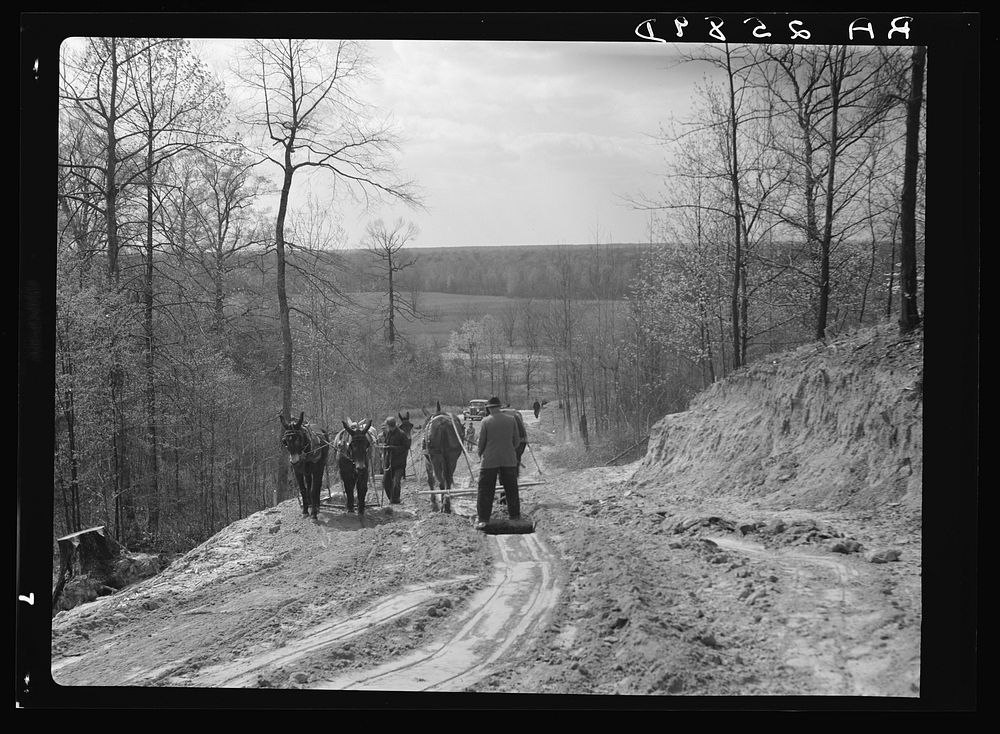 Road building. Shelby Forest recreational demonstration project. Near Memphis, Tennessee. Sourced from the Library of…