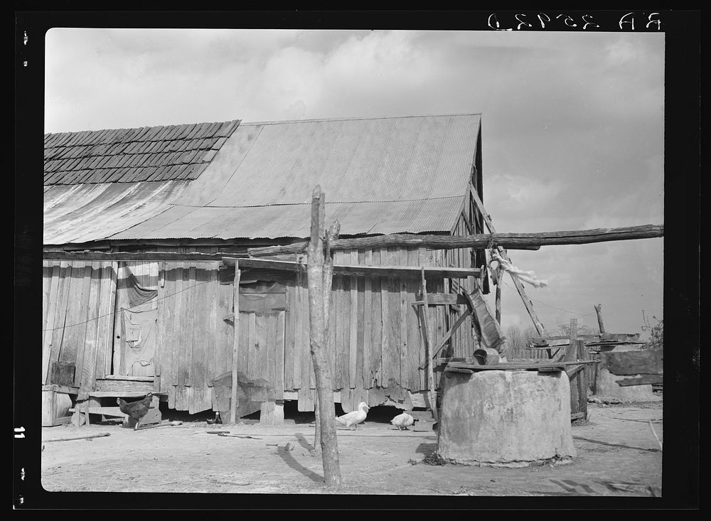 Cistern and roof of house on Shelby recreational demonstration project. Near Memphis, Tennessee. Sourced from the Library of…
