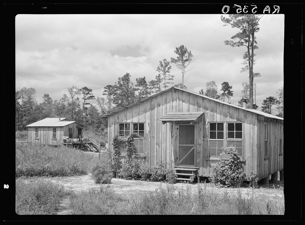 Temporary cabins in which clients live while new houses are being built. Wolf Creek Farms, Georgia. Sourced from the Library…