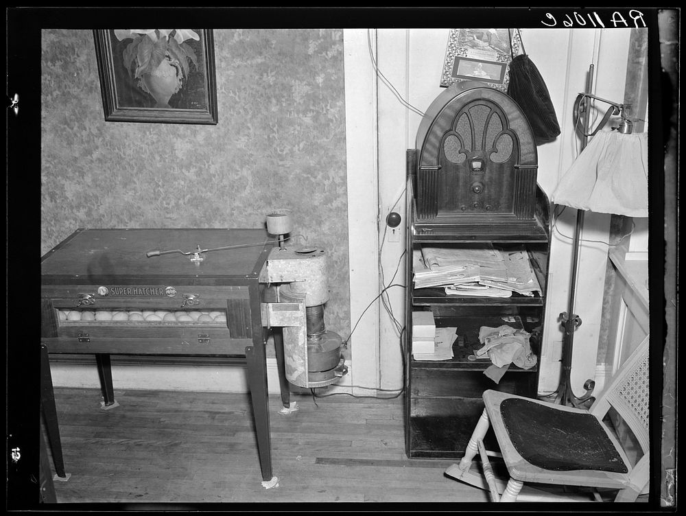 Egg hatchery in parlor of rehabilitation client's home. Lancaster, New Hampshire. Sourced from the Library of Congress.