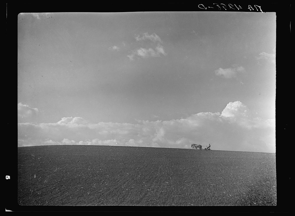 Farm scene. Lancaster County, Nebraska. Sourced from the Library of Congress.