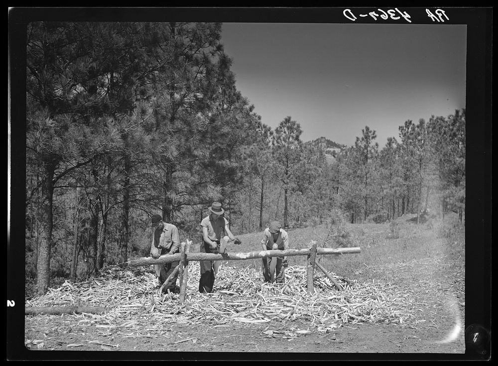 Peeling pine logs for fence posts. Dawes County, Nebraska. Sourced from the Library of Congress.