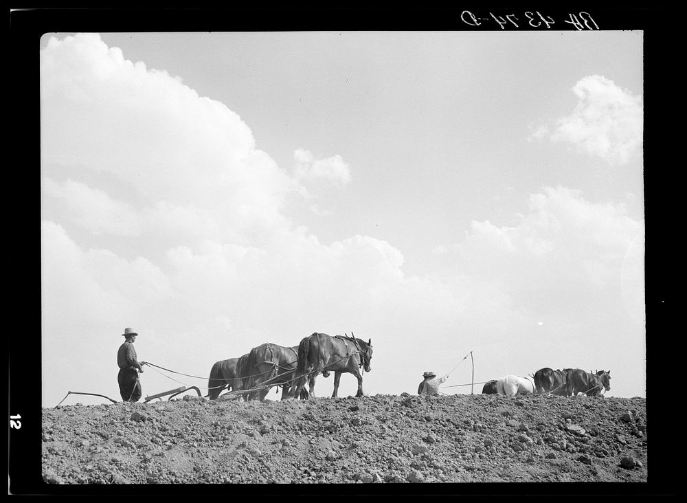 At work on a stock water dam. Pine Ridge land use project. Sioux County, Nebraska. Sourced from the Library of Congress.