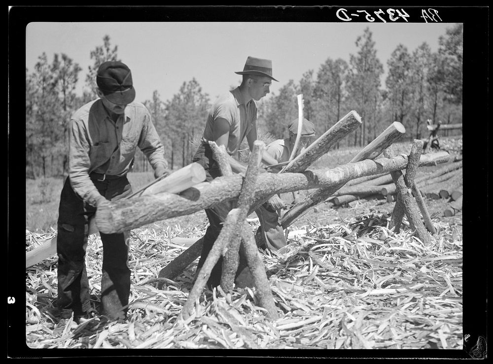 Peeling pine logs for fence posts. Dawes County, Nebraska. Sourced from the Library of Congress.