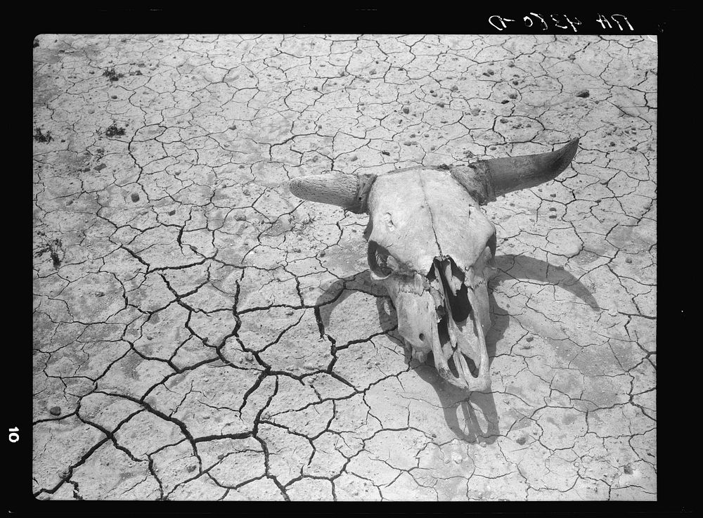 Dry and parched earth in the badlands of South Dakota. Sourced from the Library of Congress.