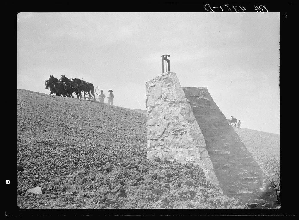Construction of stock water dam. Dawes County, Nebraska. Sourced from the Library of Congress.