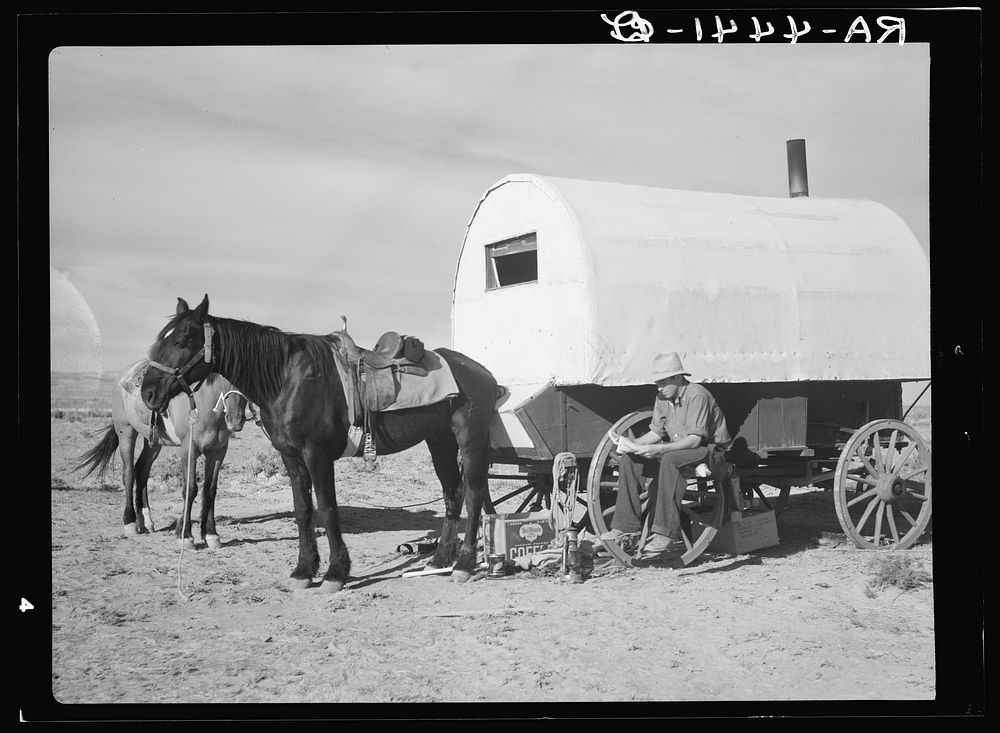 Sheep wagon. Natrona County, Wyoming. Sourced from the Library of Congress.