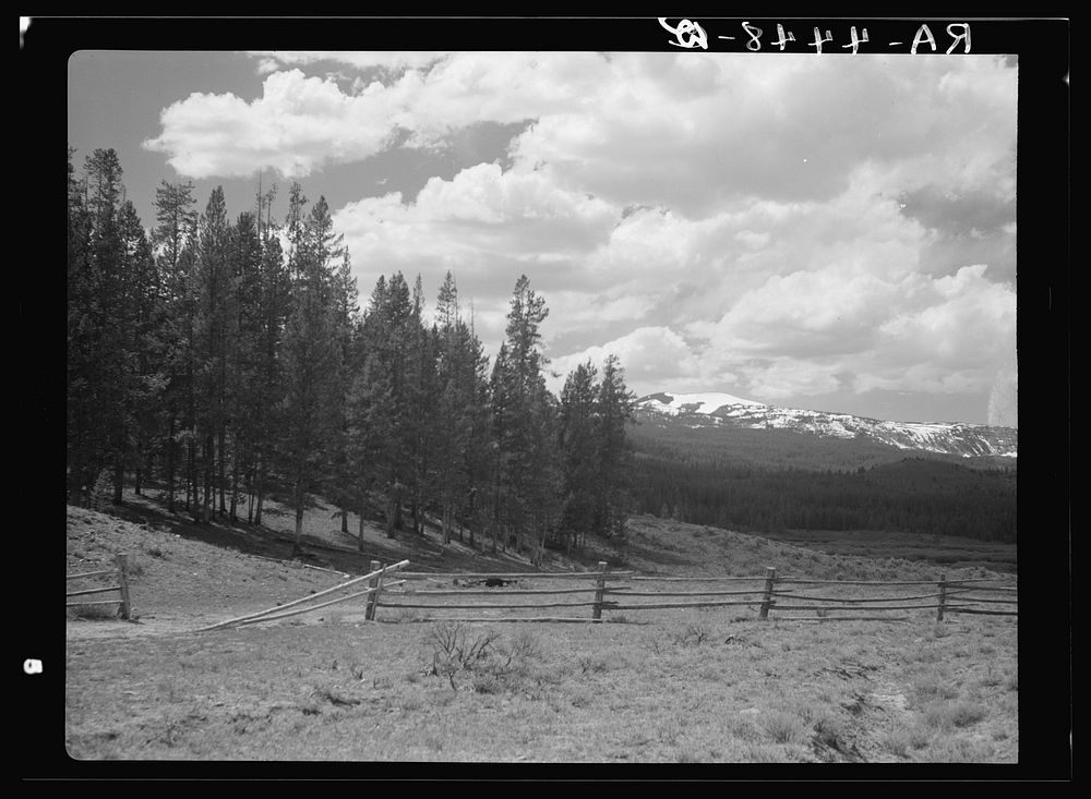 Teton National Forest, Wyoming. Sourced from the Library of Congress.