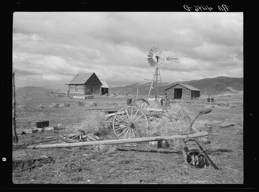 A submarginal farm purchased by Resettlement Administration and to be returned to grazing land. Oneida County, Idaho.…