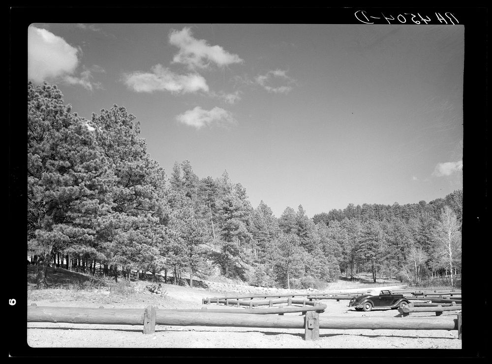 Parking space for picnickers. Custer State Park, South Dakota. Sourced from the Library of Congress.