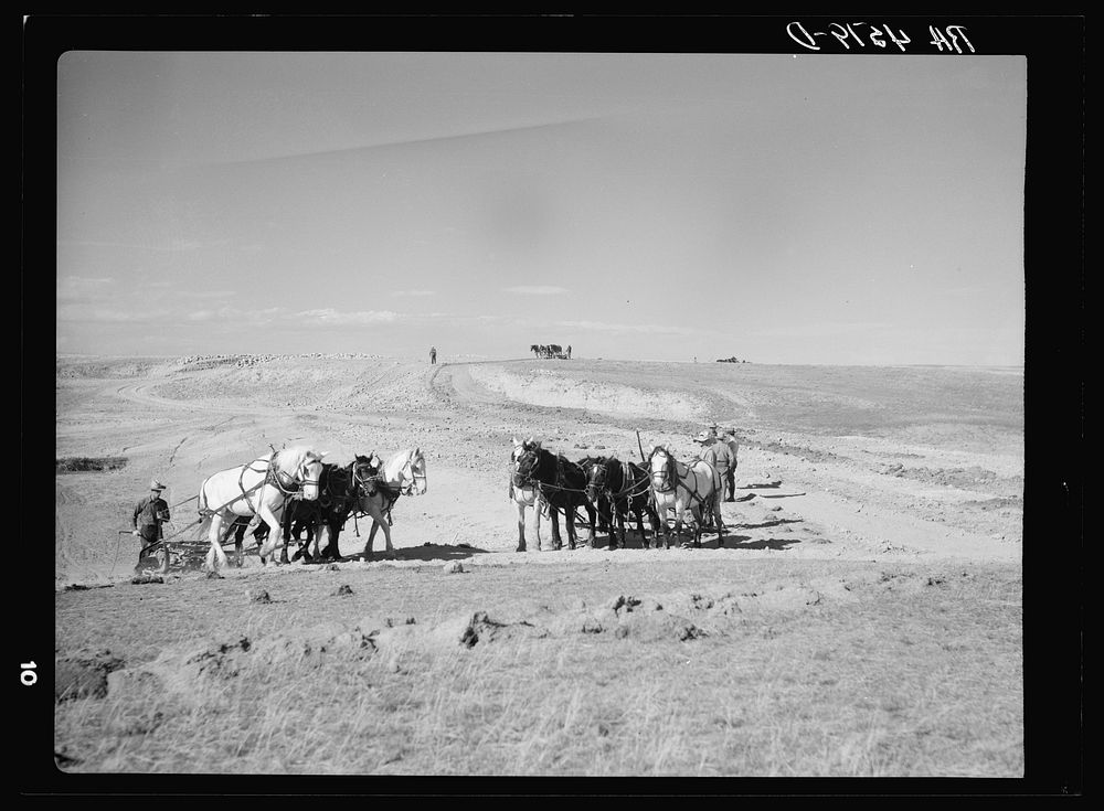 Building a stock water dam. Pennington County, South Dakota. Sourced from the Library of Congress.