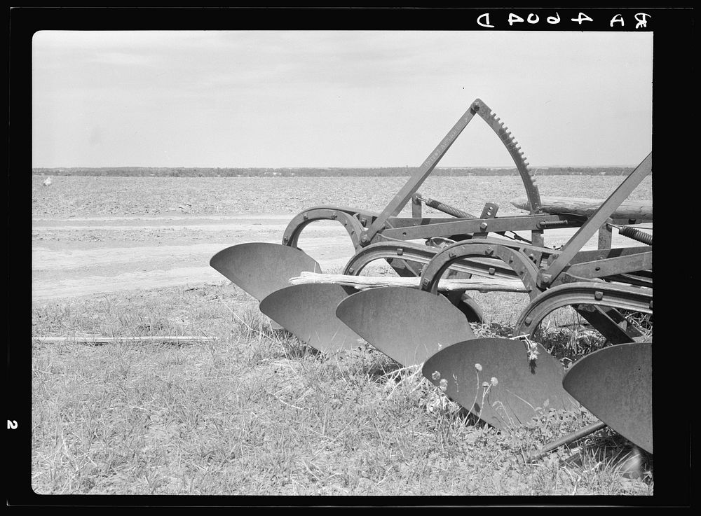 Gang plow. Pine Ridge, Nebraska. Sourced from the Library of Congress.