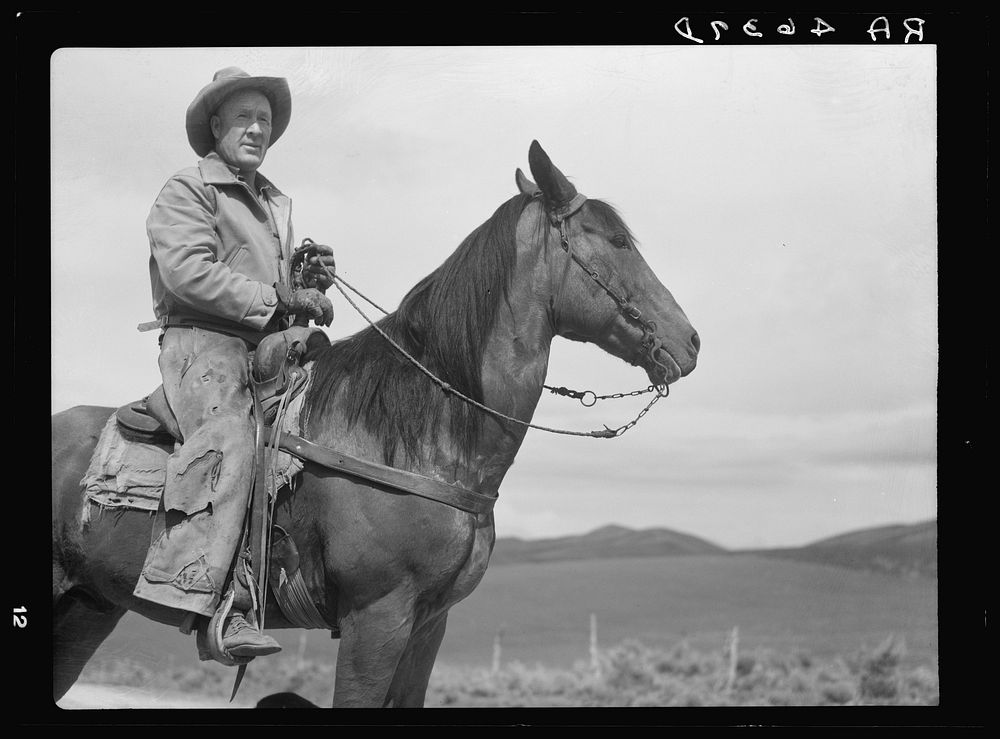 Sheep rancher. Oneida County, Idaho. Sourced from the Library of Congress.