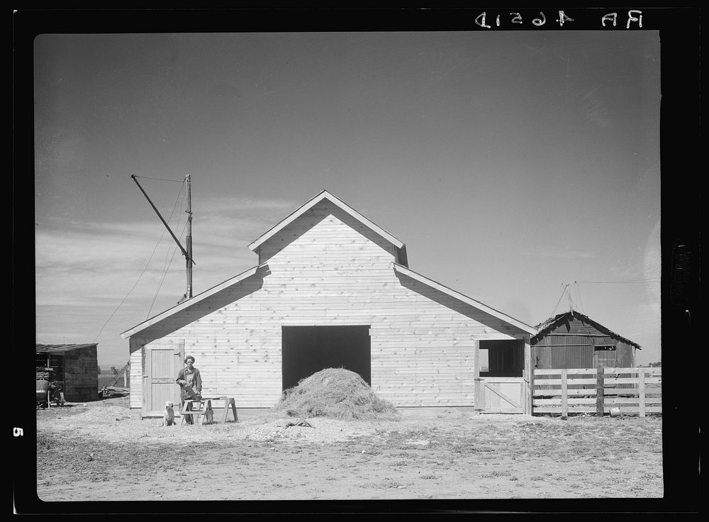 New barn which rehabilitation built with loan of four hundred and fifty dollars. Old barn in background. Ada County, Idaho.…