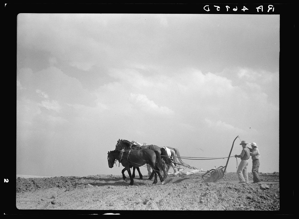 Working on a stock water dam. Pennington County, South Dakota. Sourced from the Library of Congress.