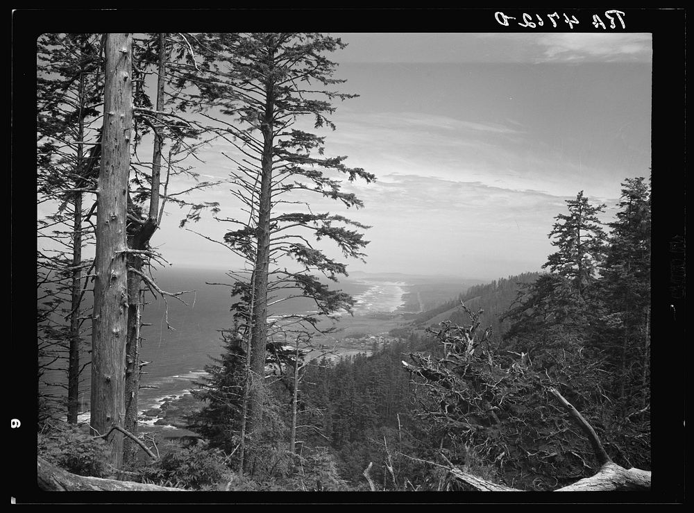 View of the Oregon coast from Cape Perpetua included in the recreation and forest conservation area being developed by…