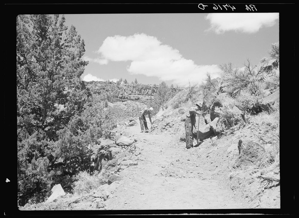 Resettlement Administration workers constructing a stock trail to the Deschutes River. Central Oregon grazing project…