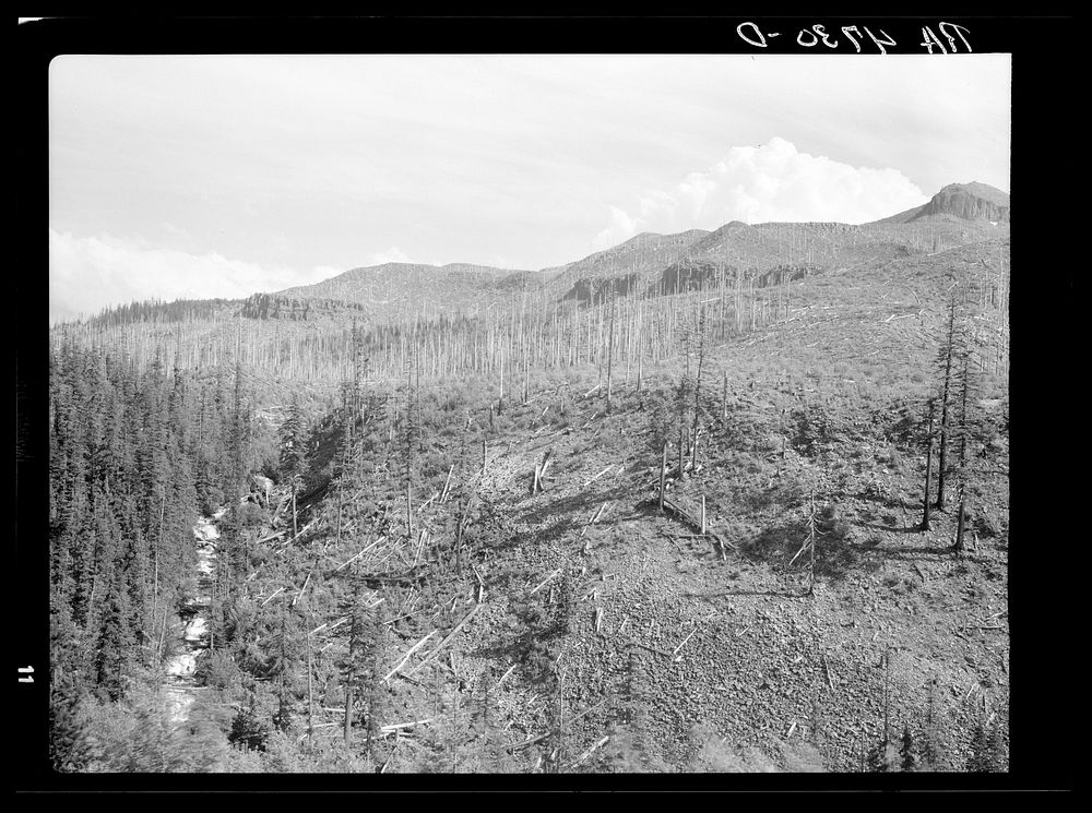 A natural protective watershed has been destroyed by unscrupulous logging companies. Mount Hood National Forest, Oregon.…