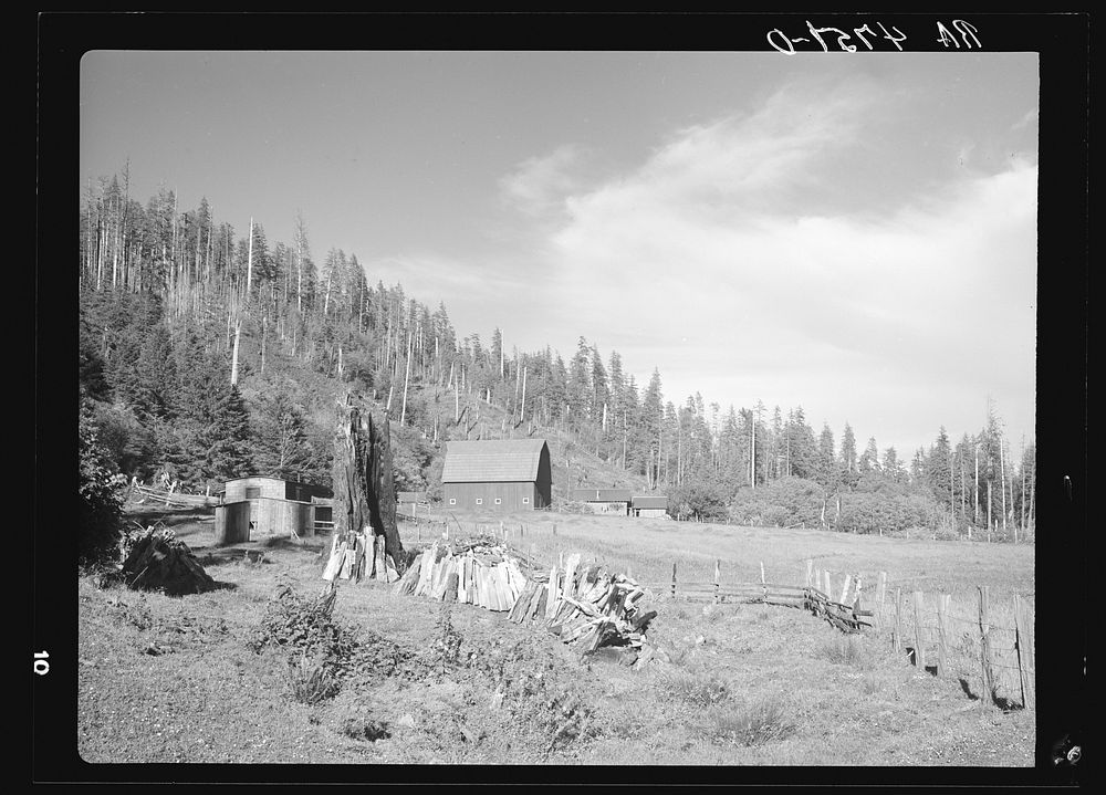 A farm on cut-over land in the Coastal Range. Oregon. Sourced from the Library of Congress.