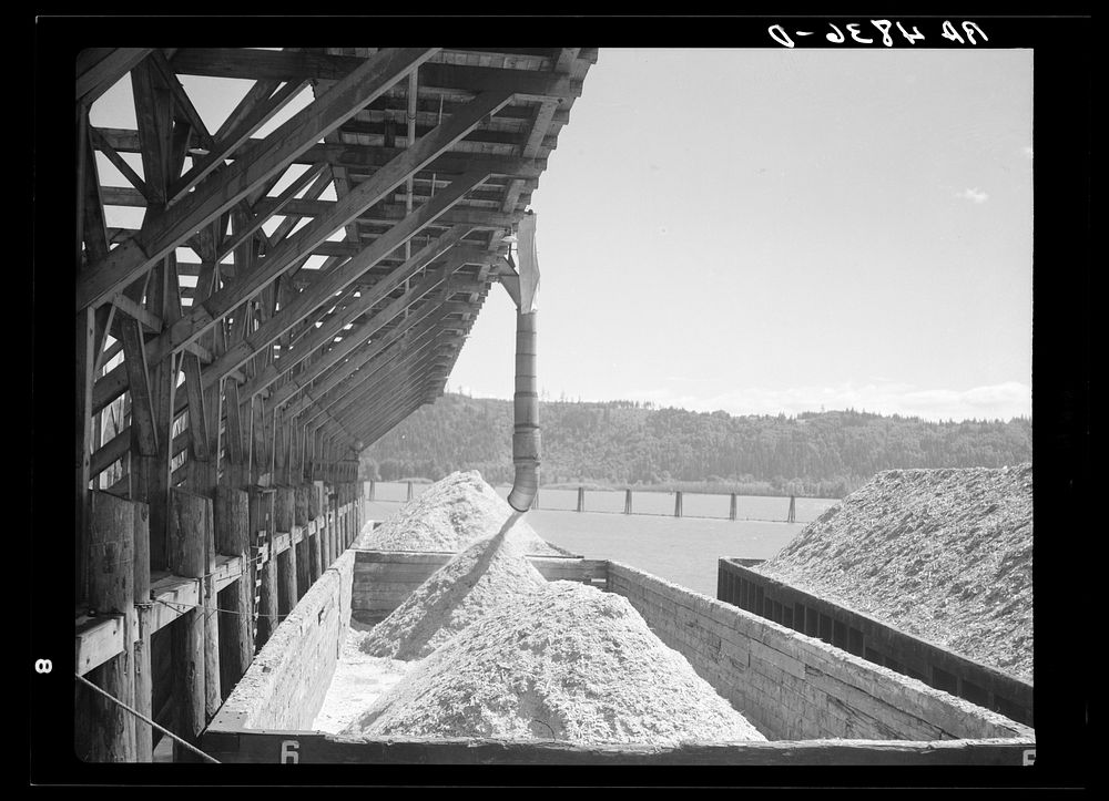 Sawdust from the Longview sawmill is dumped into barges on the Columbia River. Washington. Sourced from the Library of…