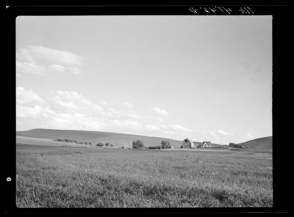 Prosperous farm near Pullman, Washington. Sourced from the Library of Congress.