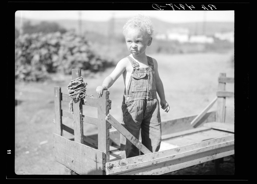 Child of migratory worker. Yakima, Washington. Sourced from the Library of Congress.