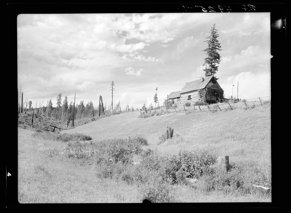 Typical submarginal farm on project near Newport, Washington. Sourced from the Library of Congress.