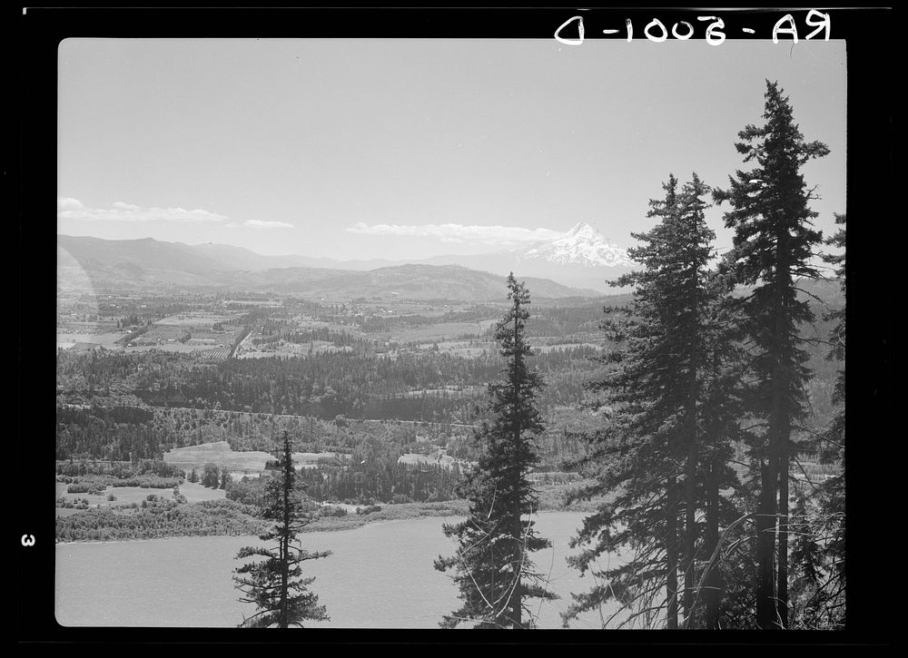 Mount Hood and the Hood River Valley. Oregon. Sourced from the Library of Congress.