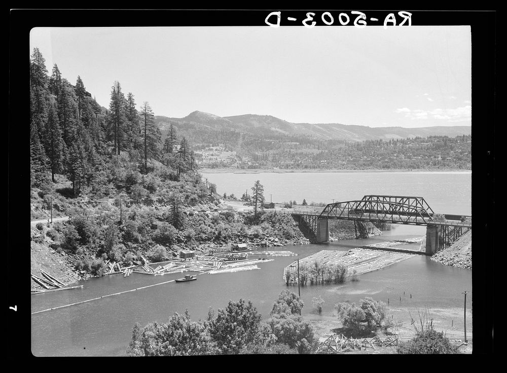 Logs on White Salmon River at its junction with the Columbia River. Oregon. Sourced from the Library of Congress.