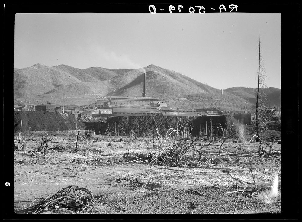 Largest lead mine in the world surrounded by destroyed trees. Kellogg, Idaho. Sourced from the Library of Congress.