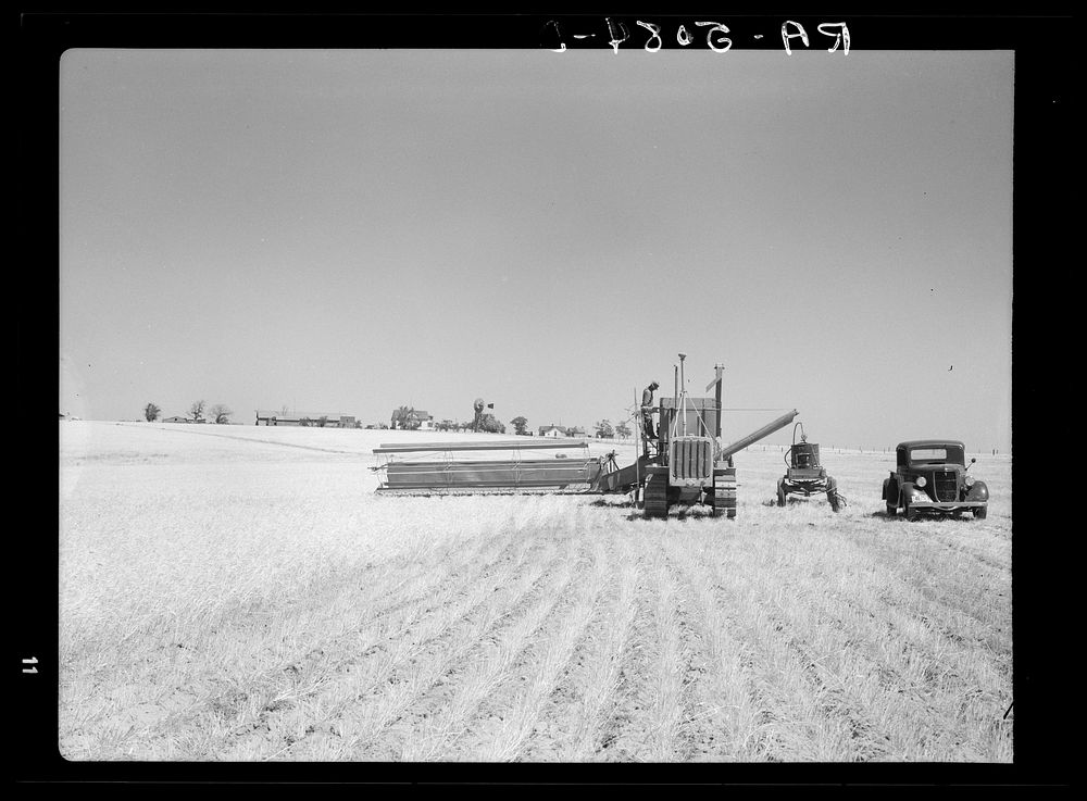 Harvesting wheat near Ritzville, Washington. Sourced from the Library of Congress.