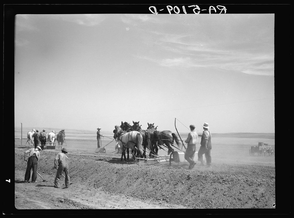 Drought relief crew building a road near Saint Anthony, North Dakota. Sourced from the Library of Congress.