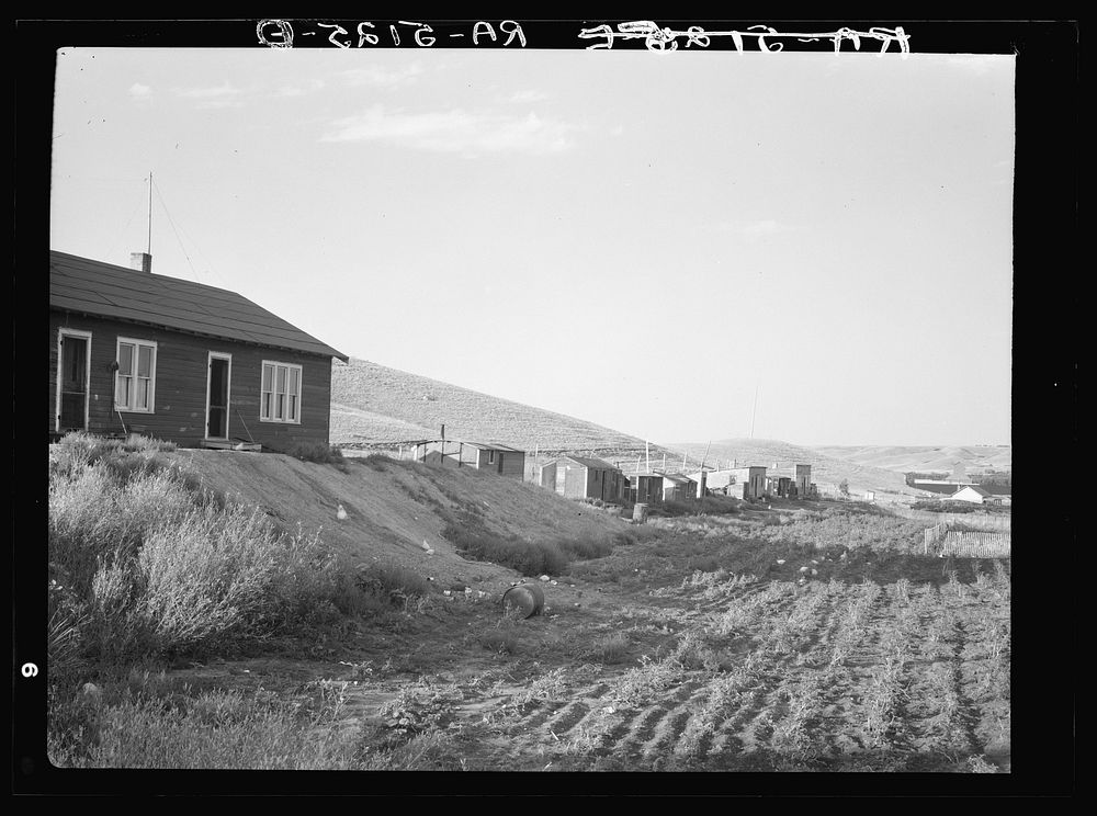 Group of miners' shacks near Burlington, North Dakota. Sourced from the Library of Congress.