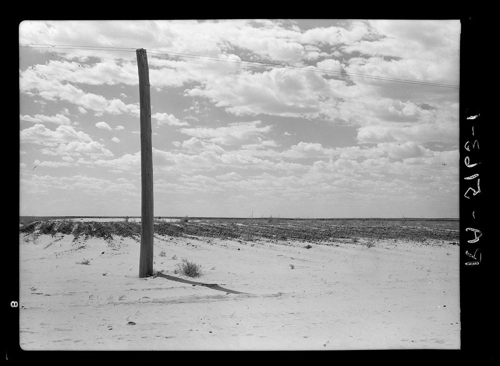 View near Dalhart, Texas. Sourced from the Library of Congress.