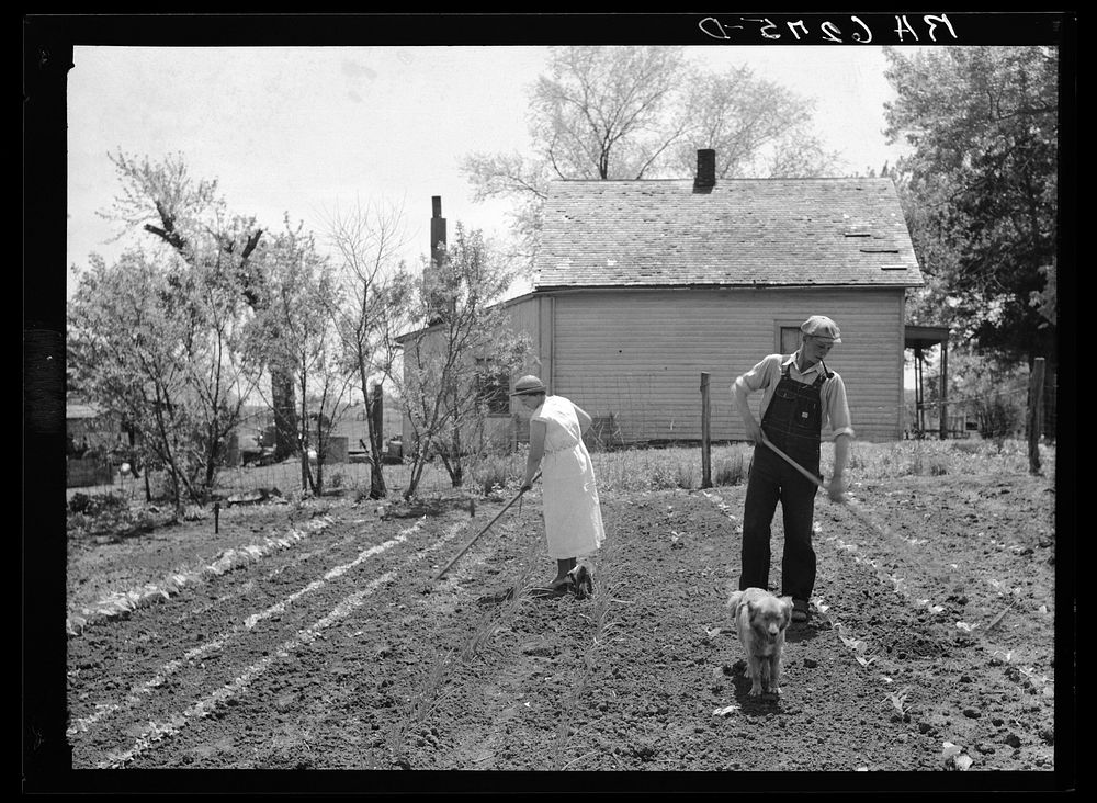 Off to a new start. Marion Hills and wife, rehabilitation clients, in garden of their farm. Center County, Iowa. Sourced…