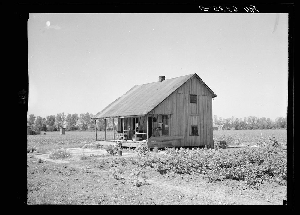 Shack of  sharecropper. West Memphis, Arkansas. Sourced from the Library of Congress.