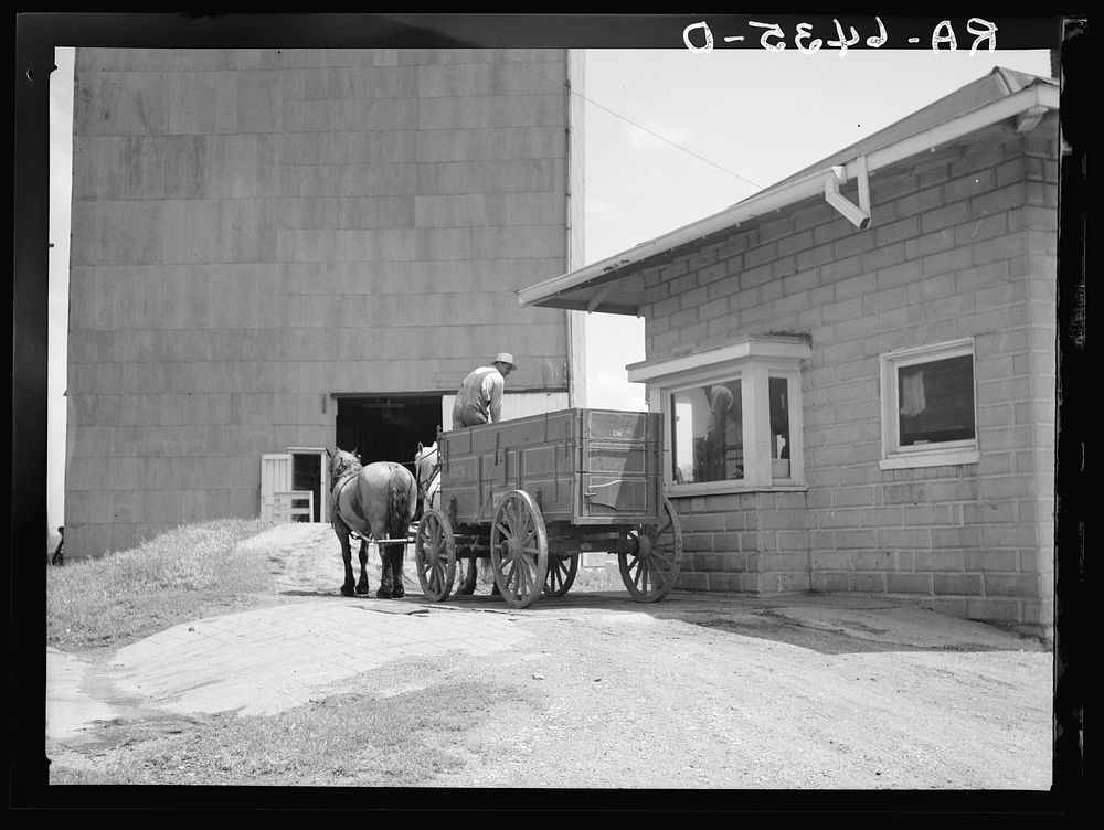 Weighing in at elevator before unloading corn. Near Rising, Illinois. Sourced from the Library of Congress.