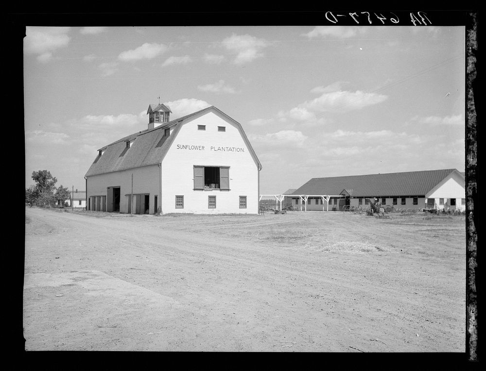 Gin and seed house (to right) on Sunflower plantation now under option by Resettlement Administration. Sourced from the…