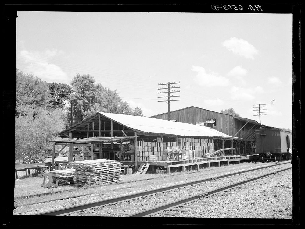 Truck market shipping depot. Terry, Mississippi. Sourced from the Library of Congress.