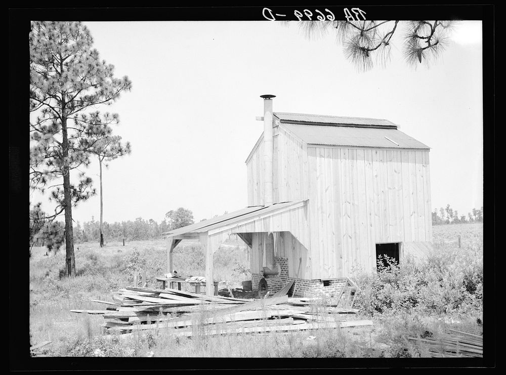 Flue cure tobacco barn on Irwinville Farms, Rural Resettlement Administration project at Irwinville, Georgia. Sourced from…