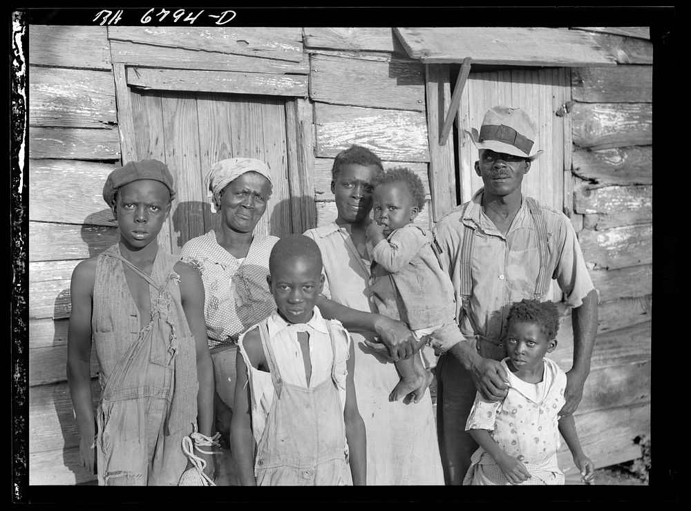 Lewis Hinter,  client with his family on Lady's Island off Beaufort, South Carolina. Sourced from the Library of Congress.