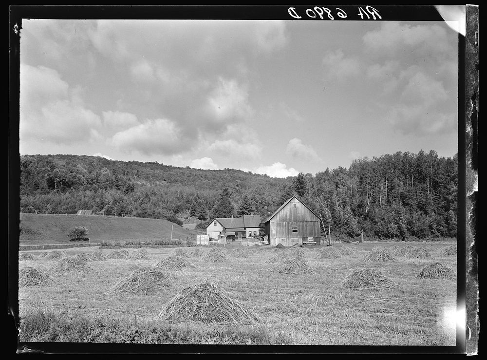 Vermont farms scene near Westfield, Vermont. Sourced from the Library of Congress.